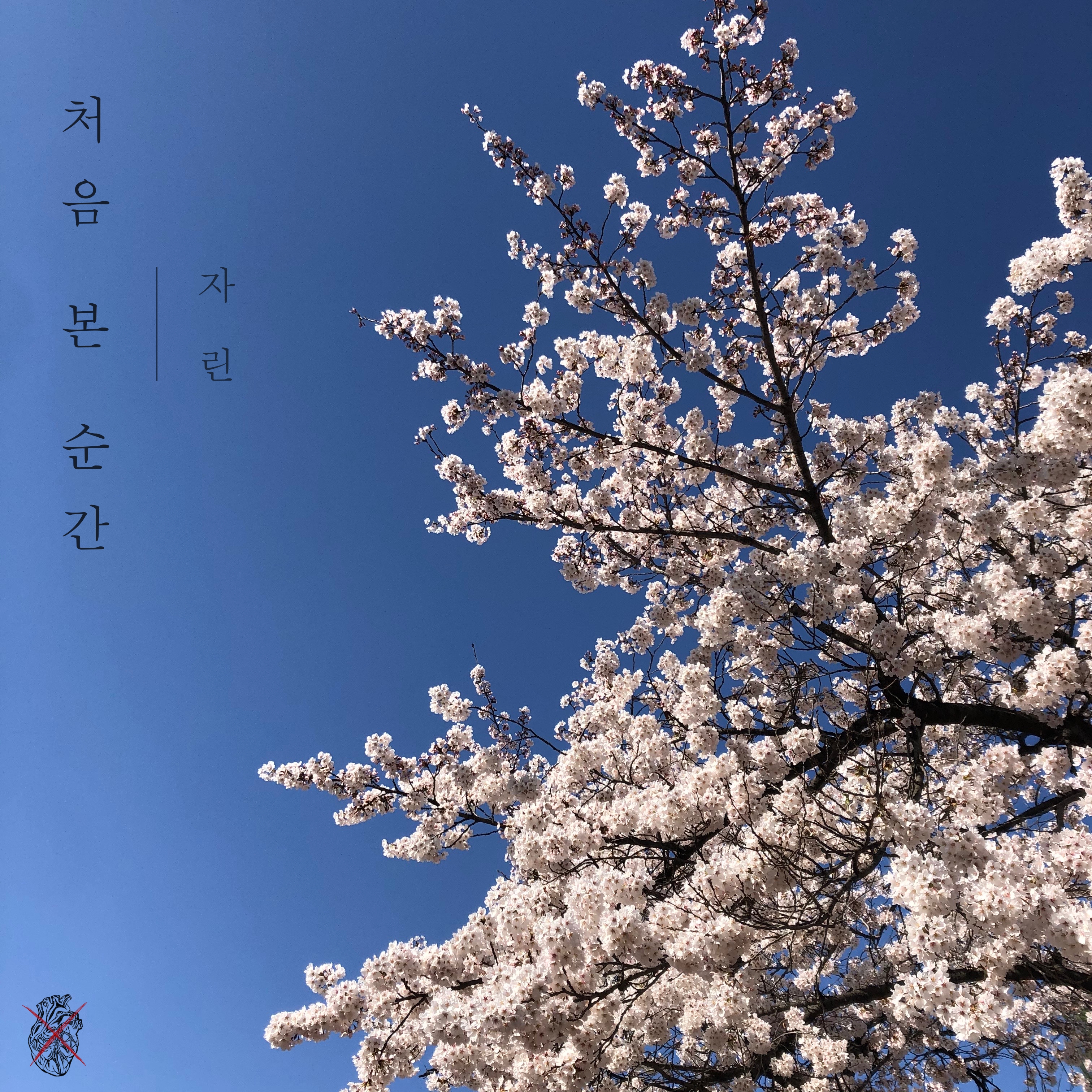 처음 본 순간